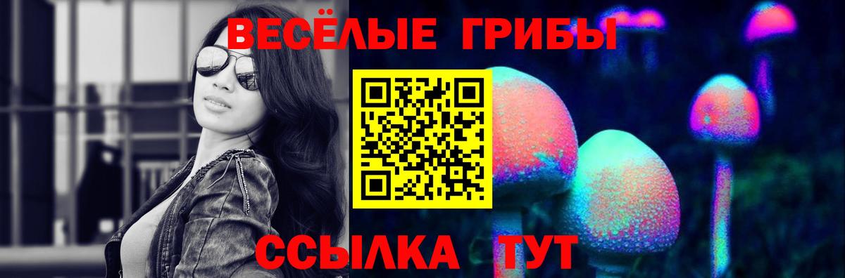 Жигулёвск  Галлюциногенные грибы GOLDEN TEACHER  Вход с VPN 